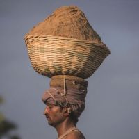 全球沙荒：20年貿(mào)易額增長六倍 中國占亞洲一半，一場全球資源危機！正在愈演愈烈！