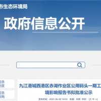 設計年通過能力600萬噸！江西九江一碼頭工程即將開建