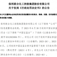 曾花近8億買下儲量超億噸大礦的央企因虛增利潤被罰955萬！