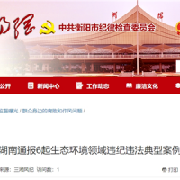 超時(shí)、超量、越界采砂！湖南通報(bào)6起生態(tài)環(huán)境領(lǐng)域違紀(jì)違法典型案例 2起與砂石有關(guān)！