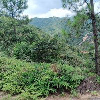 2礦同出！260萬(wàn)方/年！廣東砂石大礦掛牌出讓