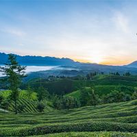 500萬噸/年！湖北儲量約1.12億噸建筑用花崗巖礦擬掛牌出讓
